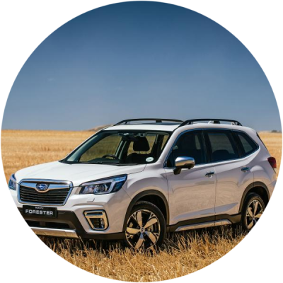 Ремонт Ремонт Вмятин Автомобиля Subaru Forester